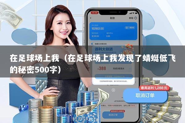 在足球场上我（在足球场上我发现了蜻蜓低飞的秘密500字）