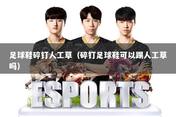 足球鞋碎钉人工草（碎钉足球鞋可以踢人工草吗）