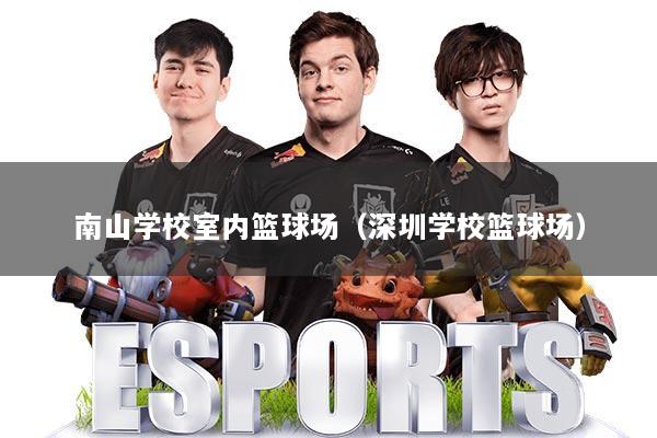南山学校室内篮球场（深圳学校篮球场）