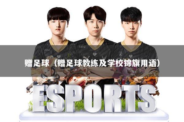 赠足球（赠足球教练及学校锦旗用语）