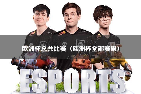 欧洲杯总共比赛（欧洲杯全部赛果）
