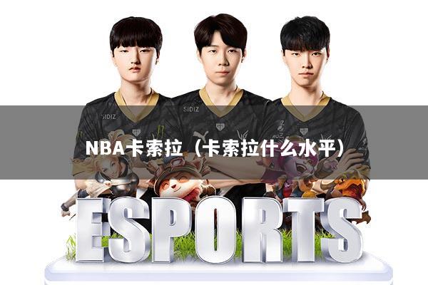 NBA卡索拉（卡索拉什么水平）