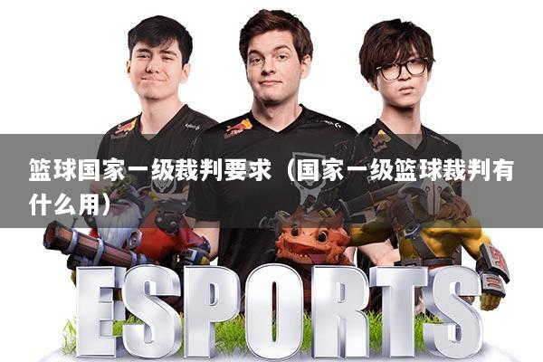 篮球国家一级裁判要求（国家一级篮球裁判有什么用）