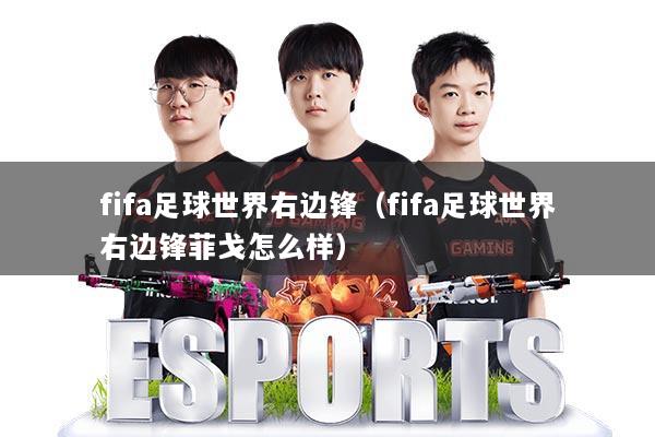 fifa足球世界右边锋（fifa足球世界右边锋菲戈怎么样）